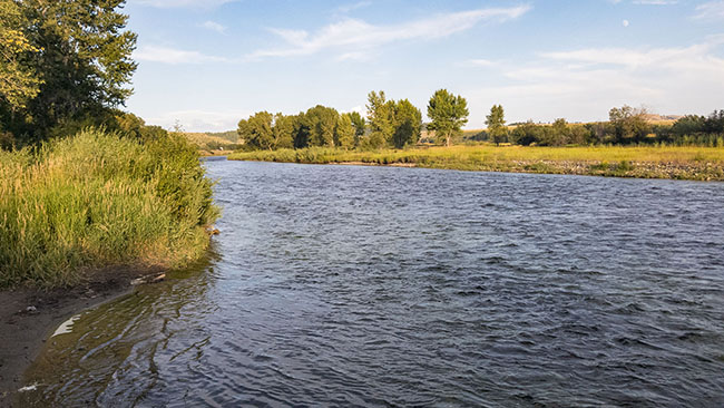 Clarks Fork River Fishing Montana Area