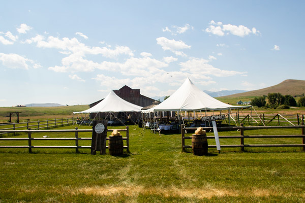 Wedding Venue Setup